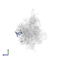 Probable rRNA-processing protein EBP2 in PDB entry 8fkr, assembly 1, side view.