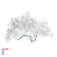 Probable rRNA-processing protein EBP2 in PDB entry 8fkr, assembly 1, top view.
