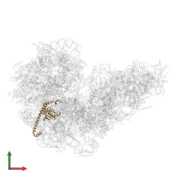 Large ribosomal subunit protein uL13 in PDB entry 8fku, assembly 1, front view.