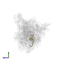 Large ribosomal subunit protein uL13 in PDB entry 8fku, assembly 1, side view.
