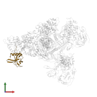 Viral protein genome-linked nsp9 in PDB entry 8gwo, assembly 1, front view.