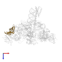 Viral protein genome-linked nsp9 in PDB entry 8gwo, assembly 1, top view.