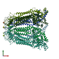 PDB entry 8gyp coloured by chain, front view.