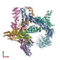 PDB entry 8h38 coloured by chain, front view.