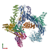 PDB entry 8h3a coloured by chain, front view.