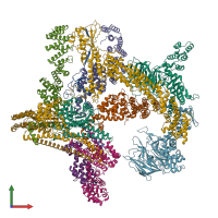 PDB entry 8h3f coloured by chain, front view.