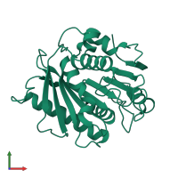 PDB entry 8h5o coloured by chain, front view.