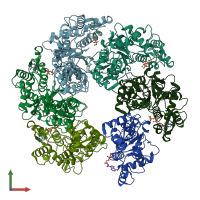 PDB entry 8hwe coloured by chain, front view.