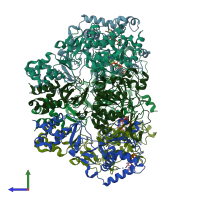 PDB entry 8hwe coloured by chain, side view.