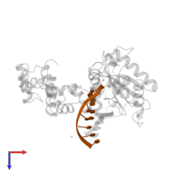 DNA (5'-D(*TP*CP*TP*AP*AP*TP*GP*A)-3') in PDB entry 8icr, assembly 1, top view.