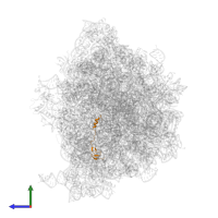 Large ribosomal subunit protein bL32 in PDB entry 8ifb, assembly 1, side view.