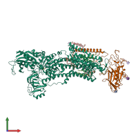 PDB entry 8ijx coloured by chain, front view.