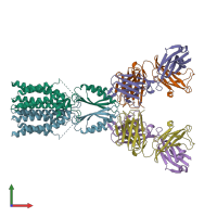 PDB entry 8j7y coloured by chain, front view.