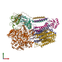 PDB entry 8k9f coloured by chain, front view.