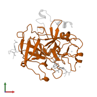 Thrombin heavy chain in PDB entry 8kme, assembly 1, front view.