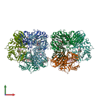 PDB entry 8oha coloured by chain, front view.
