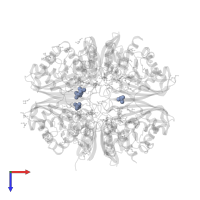 PHOSPHATE ION in PDB entry 8oha, assembly 1, top view.