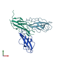 PDB entry 8orl coloured by chain, front view.