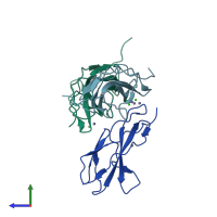 PDB entry 8orl coloured by chain, side view.