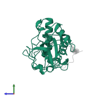 Cathepsin H in PDB entry 8pch, assembly 1, side view.