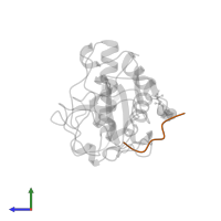 Cathepsin H mini chain in PDB entry 8pch, assembly 1, side view.