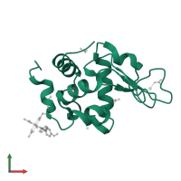 Lysozyme C in PDB entry 8pfv, assembly 1, front view.