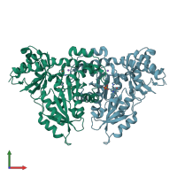 PDB entry 8pum coloured by chain, front view.