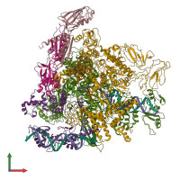 PDB entry 8reb coloured by chain, front view.