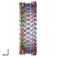 PDB entry 8t8o coloured by chain, side view.