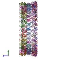 PDB entry 8t8o coloured by chain, side view.