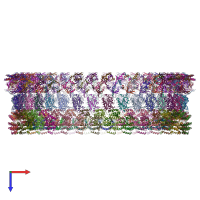 PDB entry 8t8o coloured by chain, top view.