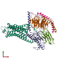 PDB entry 8uhb coloured by chain, front view.