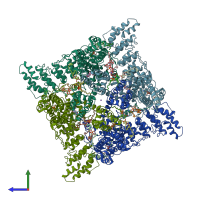 PDB entry 8v6l coloured by chain, side view.