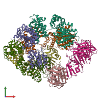PDB entry 8vam coloured by chain, front view.