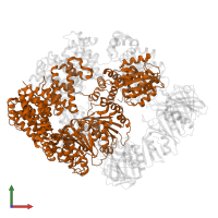 DNA polymerase III subunit tau in PDB entry 8vam, assembly 1, front view.