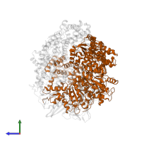 DNA polymerase III subunit tau in PDB entry 8vam, assembly 1, side view.