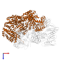 DNA polymerase III subunit tau in PDB entry 8vam, assembly 1, top view.