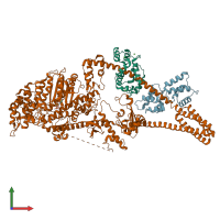 PDB entry 8w41 coloured by chain, front view.