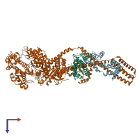 PDB entry 8w41 coloured by chain, top view.