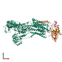 PDB entry 8wa5 coloured by chain, front view.
