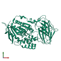 PDB entry 8yzn coloured by chain, front view.