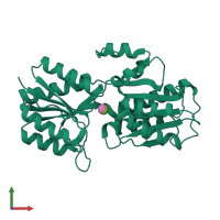 PDB entry 9abp coloured by chain, front view.