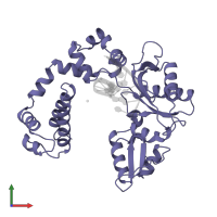 DNA polymerase beta in PDB entry 9icm, assembly 1, front view.