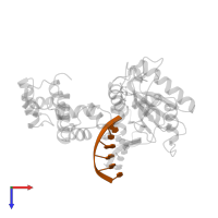 DNA (5'-D(*CP*AP*GP*AP*TP*G)-3') in PDB entry 9icq, assembly 1, top view.