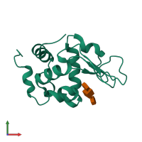 PDB entry 9lyz coloured by chain, front view.