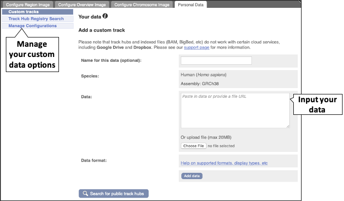 Figure 7. The 'Custom Tracks' menu. This allows you to view your data in the Ensembl browser. Any data you submit will not be publicly visible.