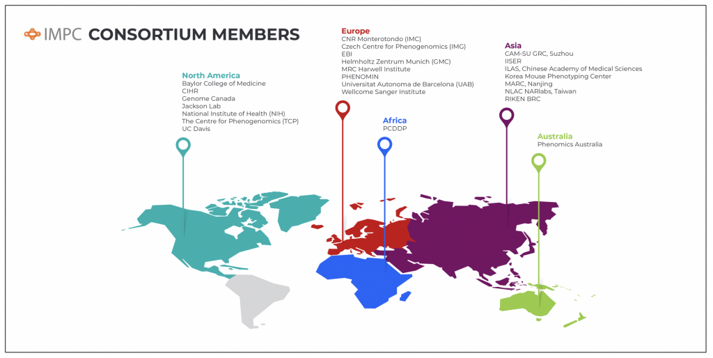 The IMPC members are distributed worldwide, with participating insititutions in North America, Europe, Africa, Asia and Australia. You can find further details on the participating institutes here: https://www.mousephenotype.org/about-impc/consortium-members/