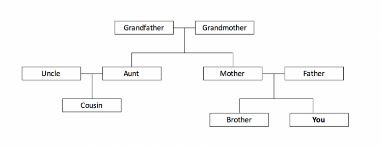 A simple family tree with grandfather and grandmother at the top of the tree who have two children who both have children themselves. 