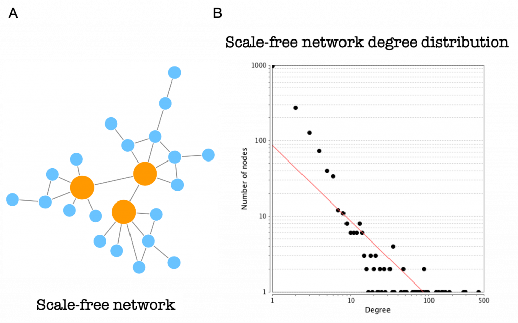Properties of PPINs: scale-free networks  Network analysis of protein  interaction data