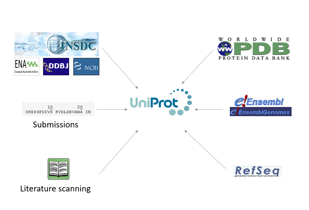UniProt sequence sources include INSDC databases, PDB, Ensembl, RefSeq, direct submissions and sequences from the literature.